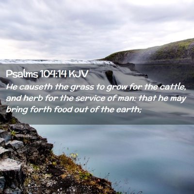 Psalms 104:14 KJV Free Bible Images