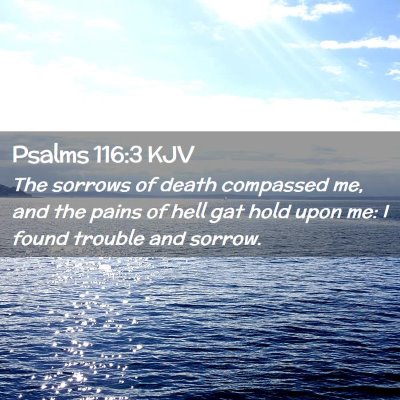 Psalms 116:3 KJV Free Bible Images