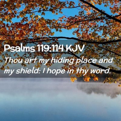 Psalms 119:114 KJV Free Bible Images