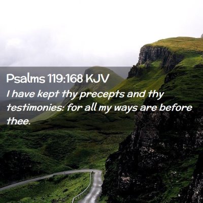 Psalms 119:168 KJV Free Bible Images