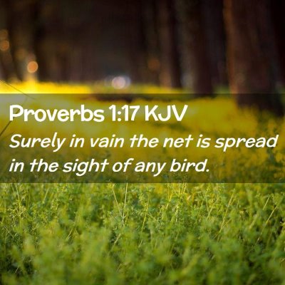 Proverbs 1:17 KJV Free Bible Images