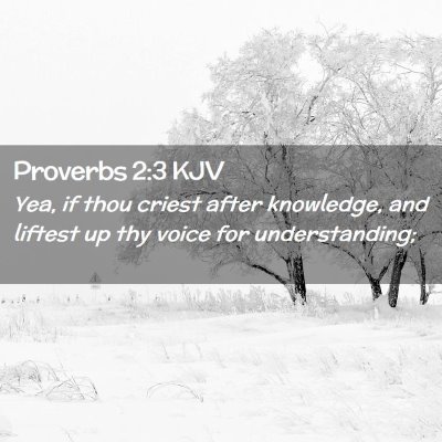 Proverbs 2:3 KJV Free Bible Images