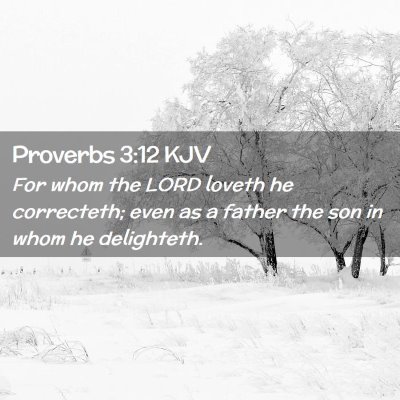 Proverbs 3:12 KJV Free Bible Images