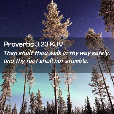 Proverbs 3:23 KJV Free Bible Images