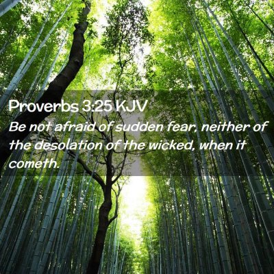 Proverbs 3:25 KJV Free Bible Images