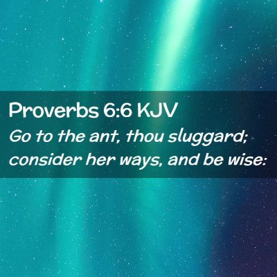 Proverbs 6:6 KJV Free Bible Images