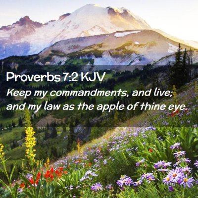 Proverbs 7:2 KJV Free Bible Images