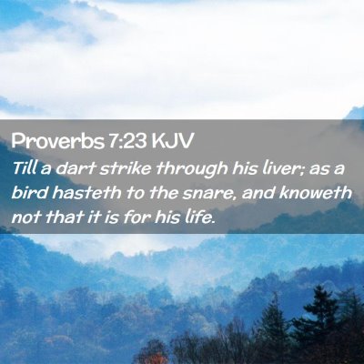 Proverbs 7:23 KJV Free Bible Images