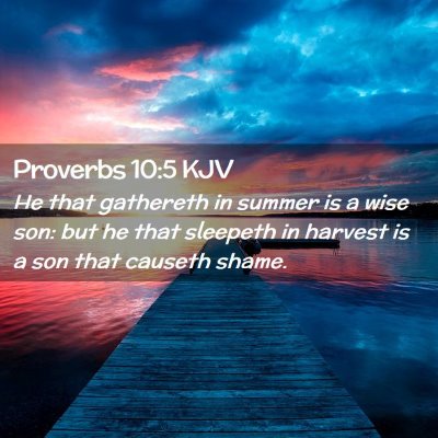 Proverbs 10:5 KJV Free Bible Images