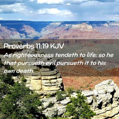 Proverbs 11:19 KJV Free Bible Images