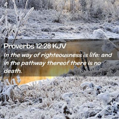 Proverbs 12:28 KJV Free Bible Images