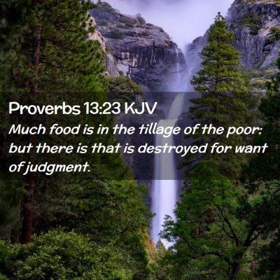 Proverbs 13:23 KJV Free Bible Images