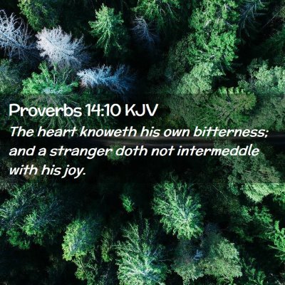 Proverbs 14:10 KJV Free Bible Images