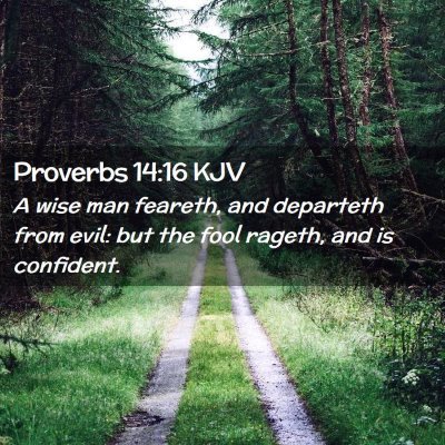 Proverbs 14:16 KJV Free Bible Images