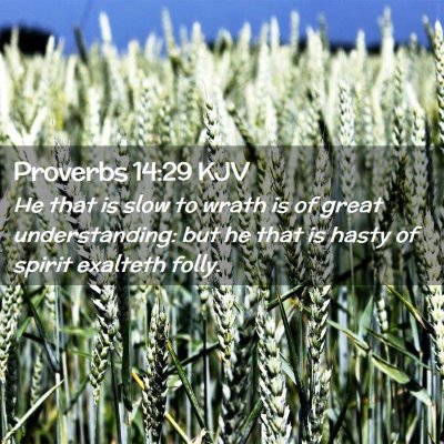 Proverbs 14:29 KJV Free Bible Images