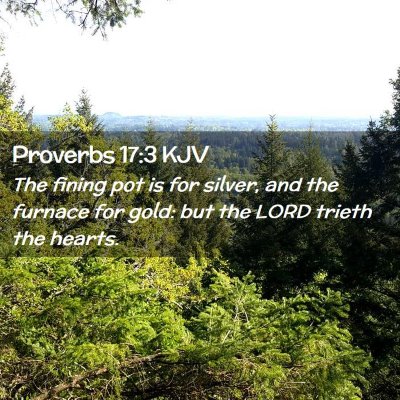 Proverbs 17:3 KJV Free Bible Images