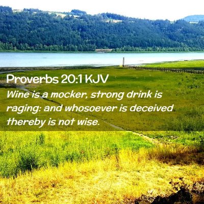 Proverbs 20:1 KJV Free Bible Images