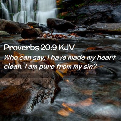 Proverbs 20:9 KJV Free Bible Images