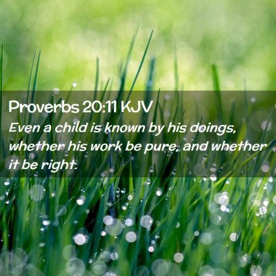 Proverbs 20:11 KJV Free Bible Images