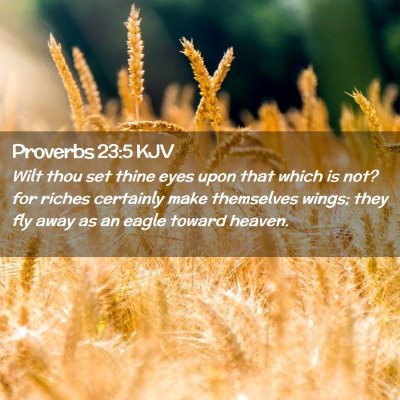 Proverbs 23:5 KJV Free Bible Images