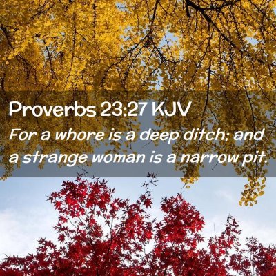 Proverbs 23:27 KJV Free Bible Images