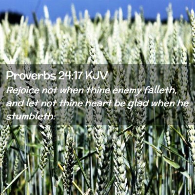 Proverbs 24:17 KJV Free Bible Images