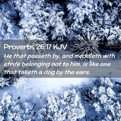 Proverbs 26:17 KJV Free Bible Images