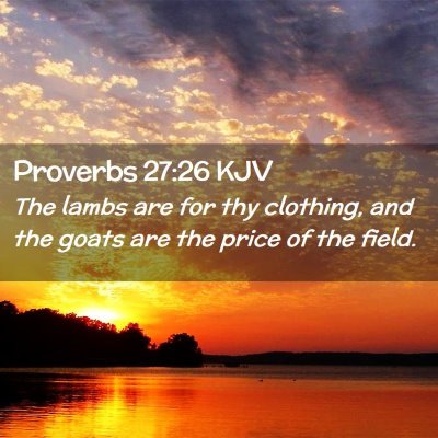 Proverbs 27:26 KJV Free Bible Images