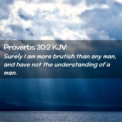 Proverbs 30:2 KJV Free Bible Images