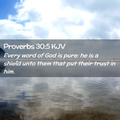 Proverbs 30:5 KJV Free Bible Images