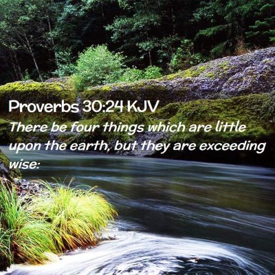 Proverbs 30:24 KJV Free Bible Images