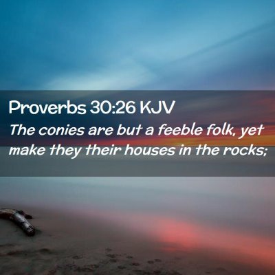 Proverbs 30:26 KJV Free Bible Images