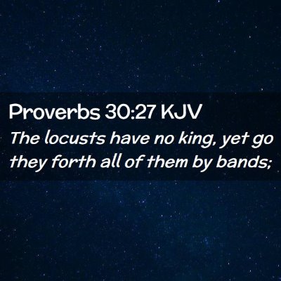 Proverbs 30:27 KJV Free Bible Images