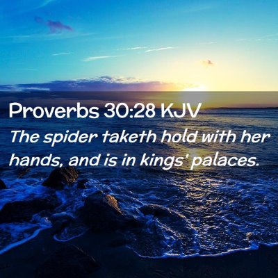 Proverbs 30:28 KJV Free Bible Images