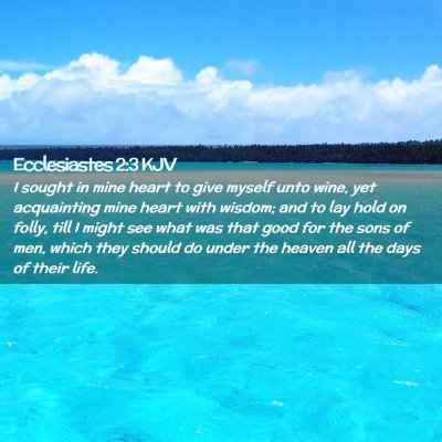 Ecclesiastes 2:3 KJV Free Bible Images