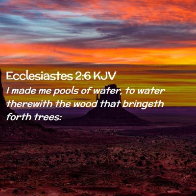 Ecclesiastes 2:6 KJV Free Bible Images