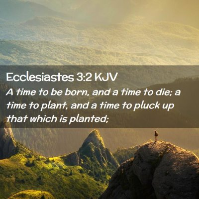 Ecclesiastes 3:2 KJV Free Bible Images