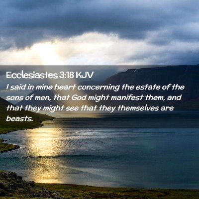 Ecclesiastes 3:18 KJV Free Bible Images