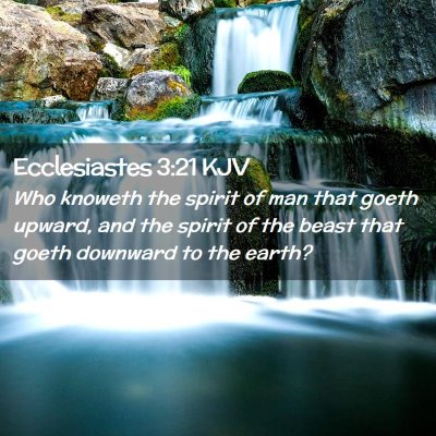 Ecclesiastes 3:21 KJV Free Bible Images