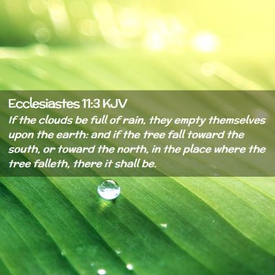 Ecclesiastes 11:3 KJV Free Bible Images