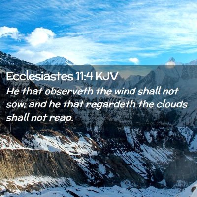 Ecclesiastes 11:4 KJV Free Bible Images