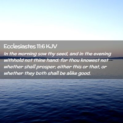 Ecclesiastes 11:6 KJV Free Bible Images