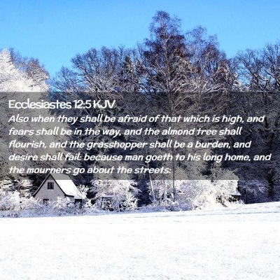 Ecclesiastes 12:5 KJV Free Bible Images