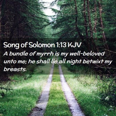 Song of Solomon 1:13 KJV Free Bible Images