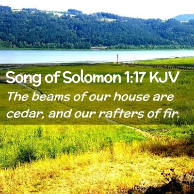 Song of Solomon 1:17 KJV Free Bible Images