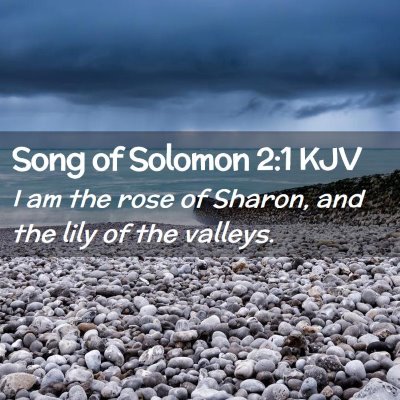 Song of Solomon 2:1 KJV Free Bible Images