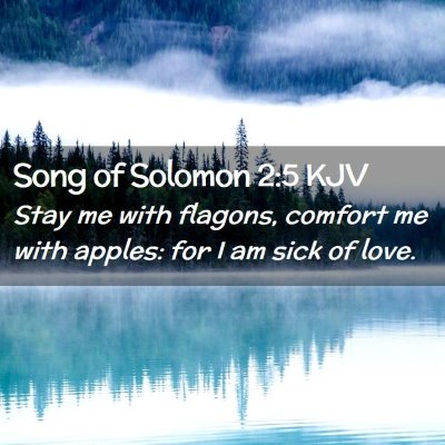 Song of Solomon 2:5 KJV Free Bible Images