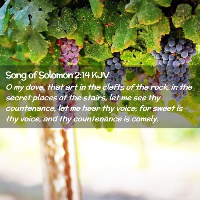 Song of Solomon 2:14 KJV Free Bible Images