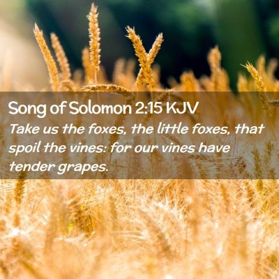 Song of Solomon 2:15 KJV Free Bible Images