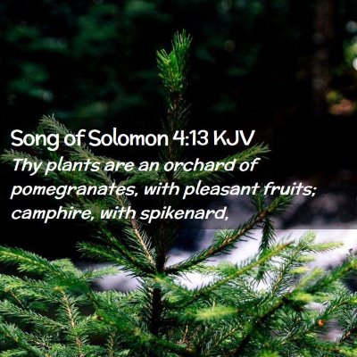 Song of Solomon 4:13 KJV Free Bible Images